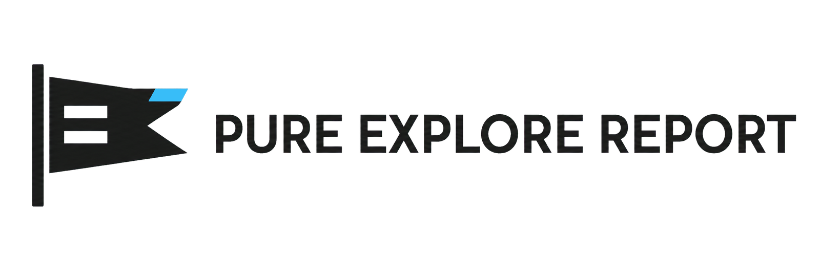 pureexplorereport.com